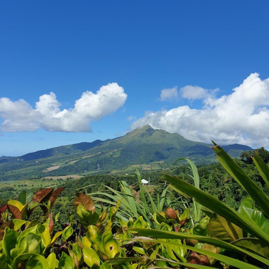 Вілла Le Hameau Du Morne Des Cadets Fond-Saint-Denis Екстер'єр фото