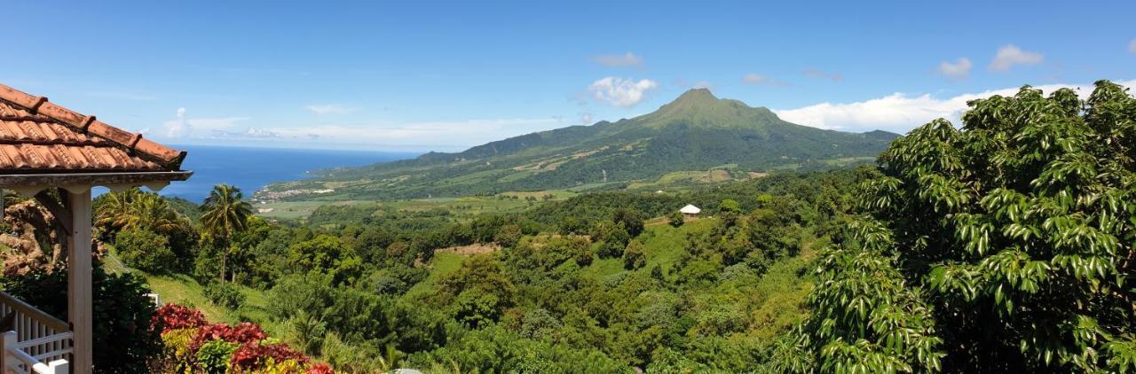 Вілла Le Hameau Du Morne Des Cadets Fond-Saint-Denis Екстер'єр фото
